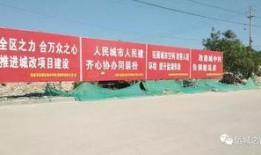 王庄最新爆料事件新闻,揭秘事件背后惊人真相