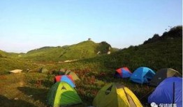 郴州露营爆料案件最新进展,真相逐步浮出水面